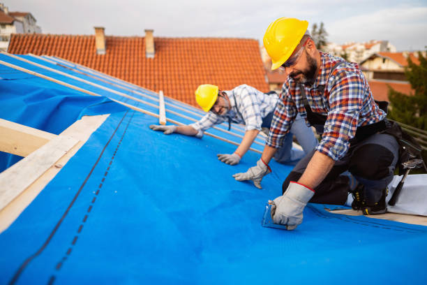 Steel Roofing in Burley, ID